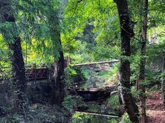 -素山寺森林公园