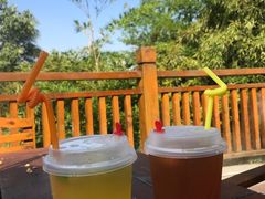 -天目湖涵田半山温泉