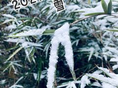 -黔灵山公园
