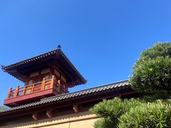 -习家池