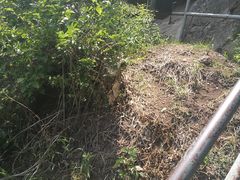 -谢继红26号牛肉汤(田家庵店)