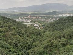 -南丹山森林王国