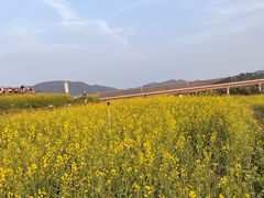 -光明小镇欢乐田园