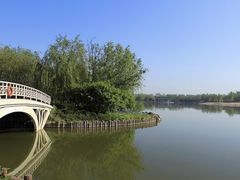 -大兴滨河森林公园