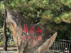 -府君山公园