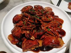 -蝶园·装修中(BFC外滩金融中心店)