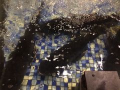 -森谷美食公园(杨行店)