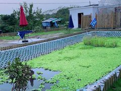 -美家乐农庄·露营·团建(大治路店)