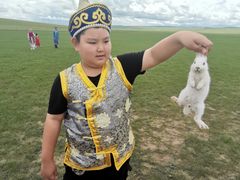 -额尔古纳黑山头绿野马帮骑马场