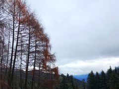 -硗碛藏寨·神木垒景区