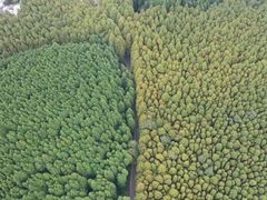 -山王坪喀斯特国家生态公园