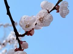 -前关湿地公园