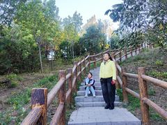 -白水寺森林公园