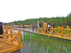 -溱湖国家湿地公园