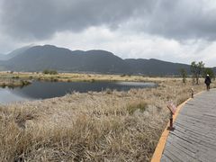-腾冲北海湿地