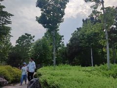 -郑州植物园