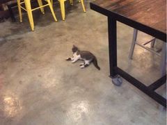 iphone_upload_pic-MIKAKU(万达广场上海宝山店)