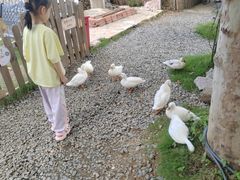 -HERRE·FARM 赫尔露营农场·团建聚会包场