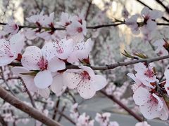 -天津东丽湖风景区