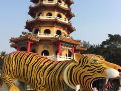 -龙虎塔