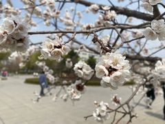 -吉林大学(前卫南区)