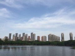 -泰丰公园