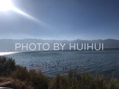 -大理洱海