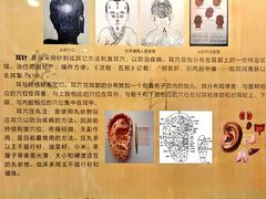 -广东中医药博物馆