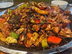 -老号尤兔头(幸福店)