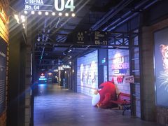 -CGV影城(壹方城IMAX店)