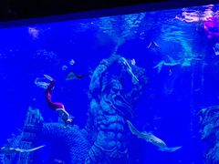 -波塞冬旅游度假区