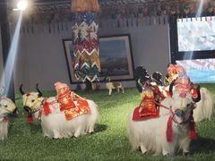 -后院犇牛主题餐厅(云岗店)