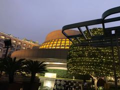 -杭州君悦酒店