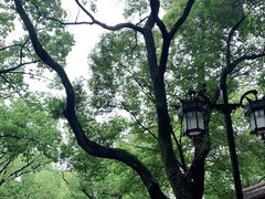 -西园戒幢律寺