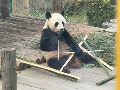 -大连森林动物园