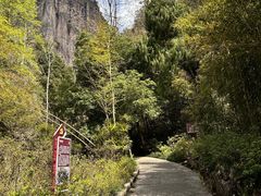 -雁荡山三折瀑景区