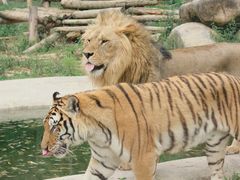 -泉州海丝野生动物世界