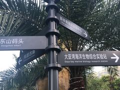 -东山码头