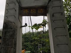 -西双版纳原始森林公园