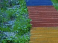 -九龙江国家森林公园