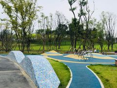 -白鹭湾湿地公园