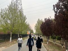 -永定河休闲森林公园