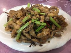 干煸鱿鱼须-昱德来·天津菜(河西店)