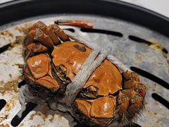 -半岛听涛蒸汽海鲜自助(K11店)
