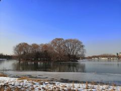 -大兴滨河森林公园