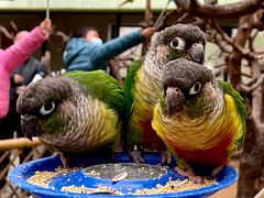 -北京野生动物园