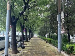 -北京长白山国际酒店(鸟巢店)