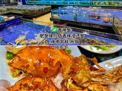 -小海豚•老字号海鲜餐厅(天涯店)