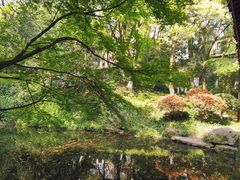 -杭州半山国家森林公园