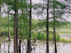 -云龙湖旅游景区